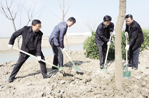 携手共建绿色家园 沈觅王建国等参加义务植树活动