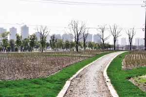 城区三大公园绿地加快建设 现代田园城市再添新绿